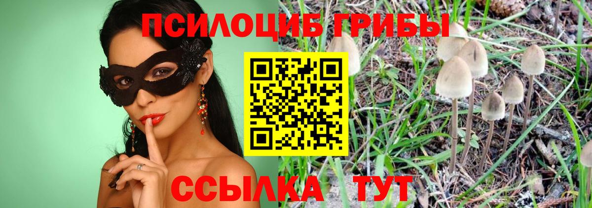 Галлюциногенные грибы Psilocybine cubensis Ялта