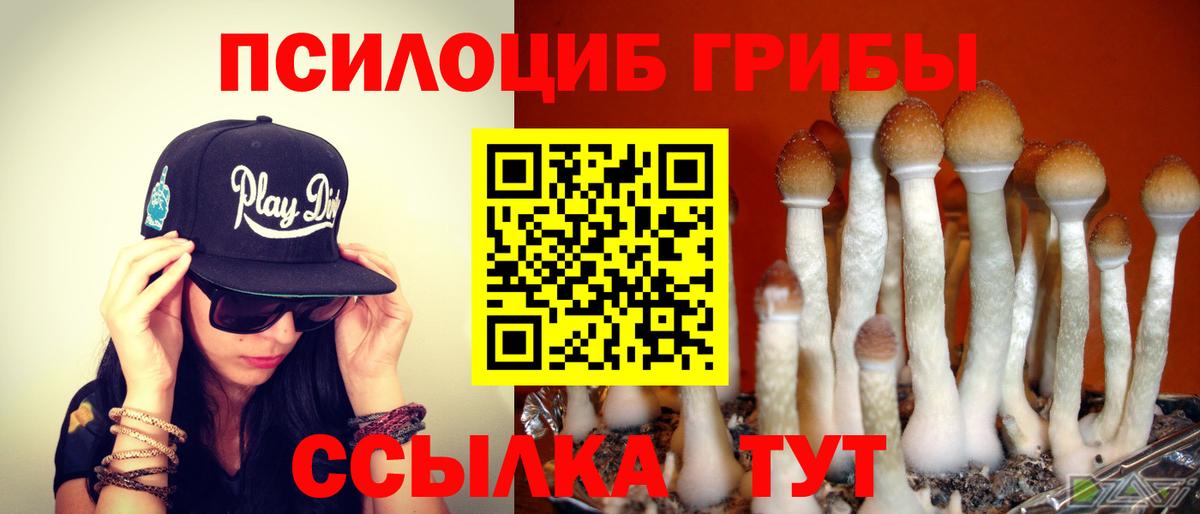 как найти закладки  Вход с VPN  Ялта  Псилоцибиновые грибы GOLDEN TEACHER 